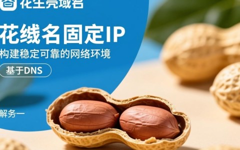 花生壳域名固定IP，为何如此受欢迎？背后原因揭秘！