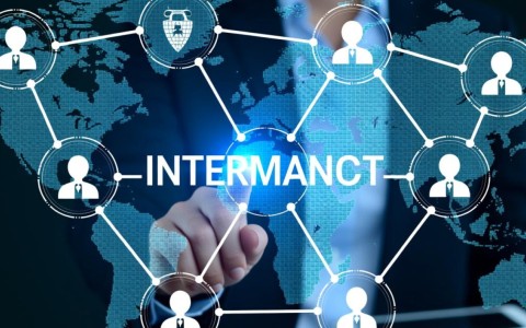 如果查域名所有人，能揭示哪些隐藏的商业秘密或个人信息？