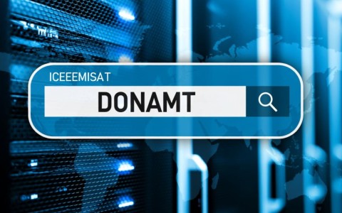 什么是服务器域名？它如何定义网站地址和访问方式？