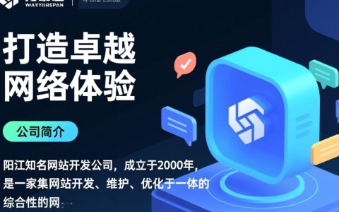 阳江知名网站开发公司，哪家服务更专业，性价比更高？