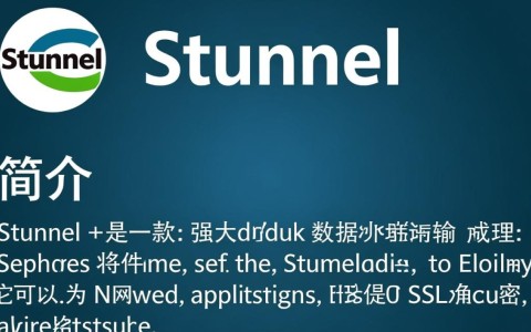 stunnel配置疑问stunnel如何正确配置实现安全数据传输？