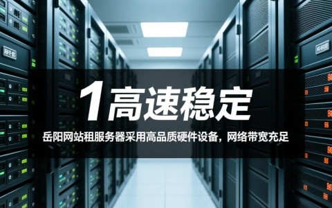 岳阳网站租服务器，哪家服务商性价比更高，如何选择最适合自己的方案？