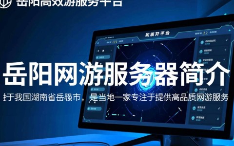 岳阳网游服务器为何如此火爆？揭秘其背后之谜