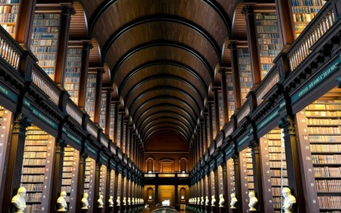 孔雀为何溜进高cdn校图书馆？背后真相令人惊讶！