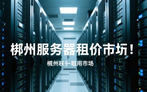 郴州服务器租用报价多少？性价比高的方案有哪些？