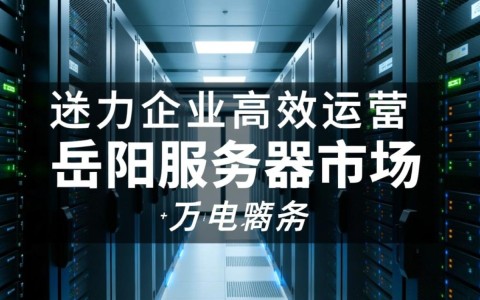 岳阳地区有哪些性价比高的服务器选择？推荐几款便宜服务器型号？