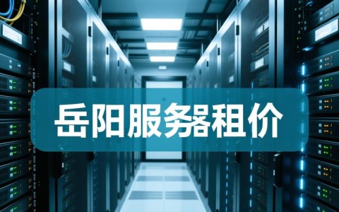 岳阳服务器租价格是否公道？性价比如何？值得信赖吗？