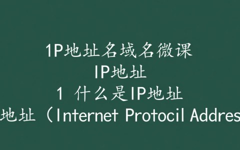 IP地址与域名微课讲解后，为何两者转换速度差异如此之大？