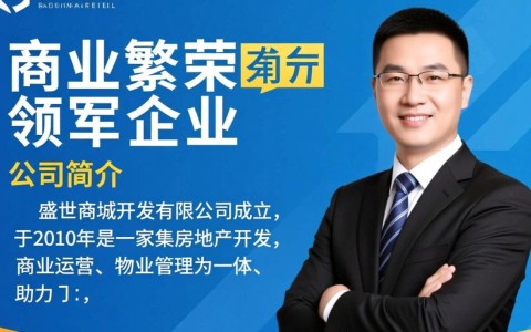 盛世商城开发有限公司涉嫌哪些商业操作或法律风险，其发展前景如何？