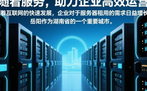岳阳租服务器网站,哪家服务商性价比更高,售后服务更完善?