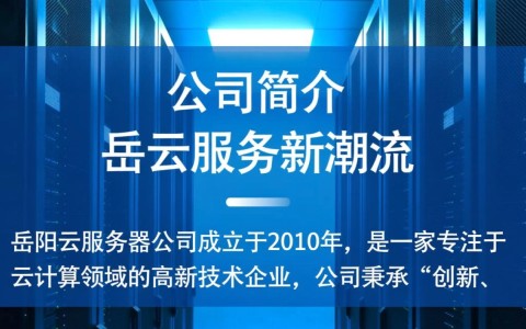 岳阳云服务器公司在行业中的地位和竞争力如何?揭秘其发展前景与挑战!