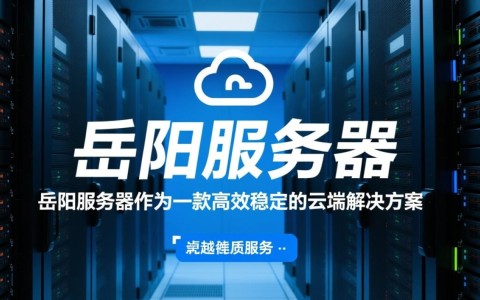 岳阳的服务器为何如此受欢迎？揭秘其独特优势与性能之谜？