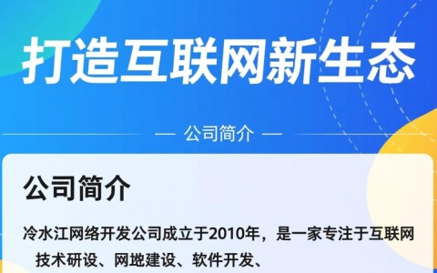 冷水江网络开发公司，如何打造本地企业数字化升级新标杆？