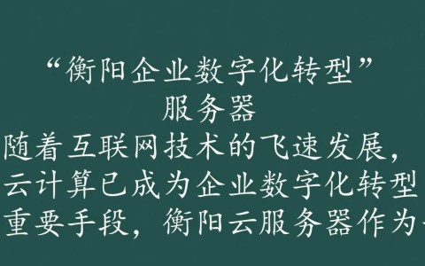 衡阳云服务器，衡阳地区使用效果如何？性价比高吗？
