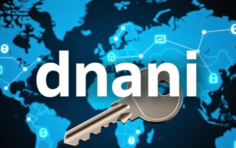 从域名是什么意思出发，探讨域名背后的深层含义及其在互联网中的重要性？