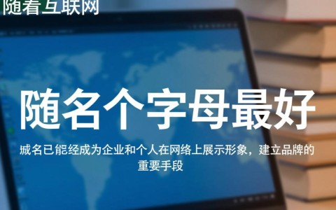 域名几个字母最理想，长度如何影响搜索排名和用户体验？