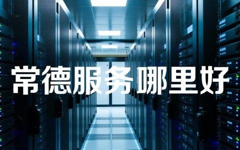 常德服务器选哪家更优？性价比与稳定性如何权衡？揭秘最佳选择！