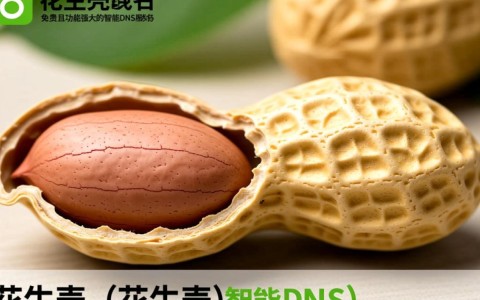 花生壳域名为何一直未生效？排查解决方法全解析！