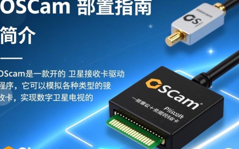 OSCAM配置过程中，如何确保稳定性和安全性？常见问题解答指南