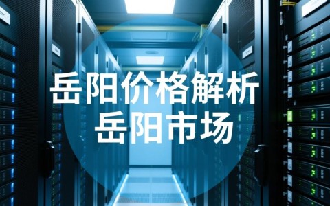 岳阳服务器价格为何如此波动？揭秘岳阳地区服务器成本与性价比之谜！