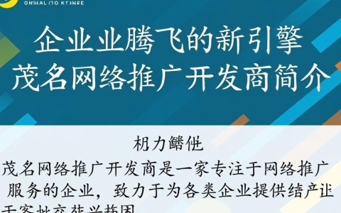 茂名地区网络推广开发商哪家服务更专业？性价比如何？