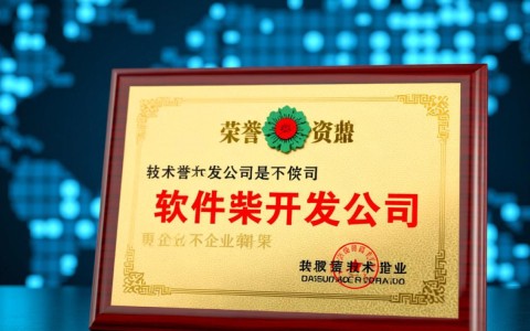 软件开发公司如何获取和展示其荣誉资质？