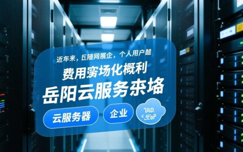 岳阳云服务器费用是多少？如何选择性价比高的方案？