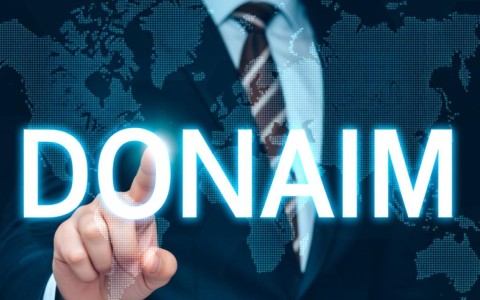 如何精准查询任意域名持有人信息？揭秘高效查询方法！