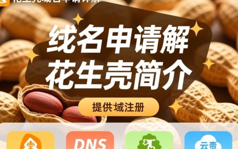 花生壳子域名申请操作流程及注意事项有哪些？