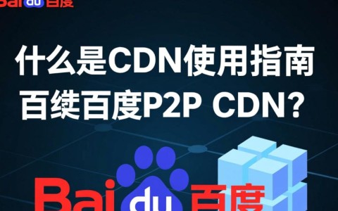 百度P2P CDN具体操作步骤是什么？新手如何正确使用？