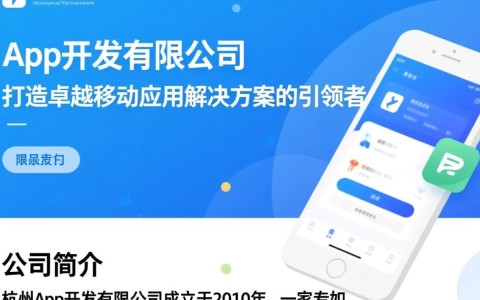 杭州app开发有限公司的商业模式创新为何在行业里独树一帜？