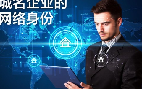 在万网域名管理中，为何更换账户操作如此复杂，有哪些简便方法？