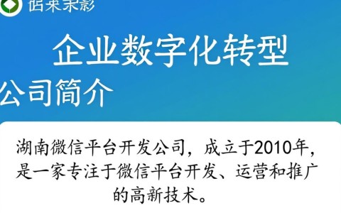 湖南微信平台开发公司哪家更专业？如何选择合适的服务商？