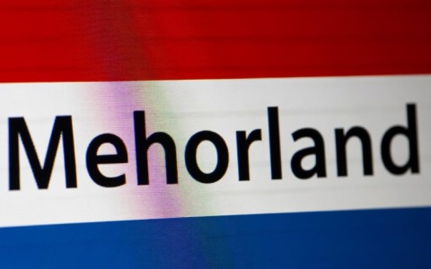 nl域名究竟代表哪个国家？揭秘其背后的含义与历史渊源。