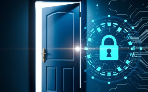 如何有效检查并确认我的域名是否遭受了劫持？