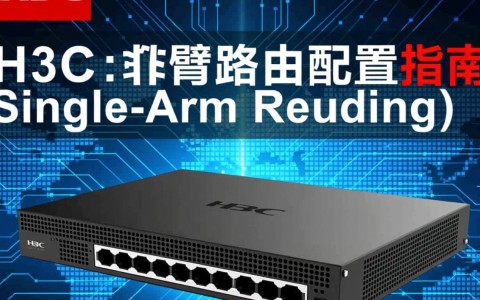 H3C单臂路由配置中存在哪些常见问题与解决方法？