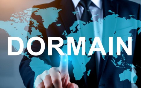 十大通用域名中，哪些是您认为最具潜力的选择？