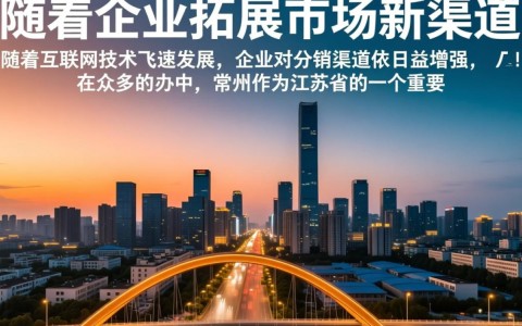 常州分销系统开发，哪家公司提供专业电话服务？