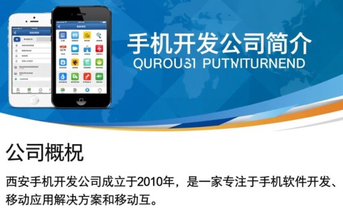 西安手机开发公司，你们如何平衡创新与成本控制？