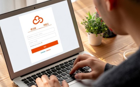 阿里云绑定子域名具体步骤详解，为何操作起来如此复杂？