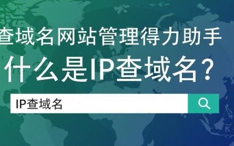 站长工具 ip查域名如何高效利用？是否存在隐藏技巧？