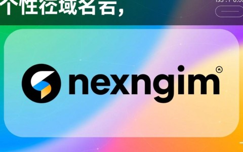 个性域名究竟是指什么？揭秘独特标识背后的含义和用途。