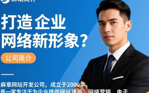 麻章网站开发公司，如何选择优质服务商，打造高效企业平台？