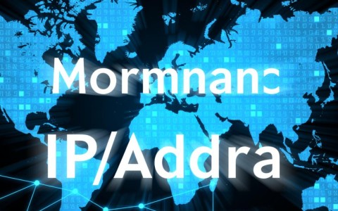 如何通过查域名与ip的网址快速准确查询网站信息及归属？