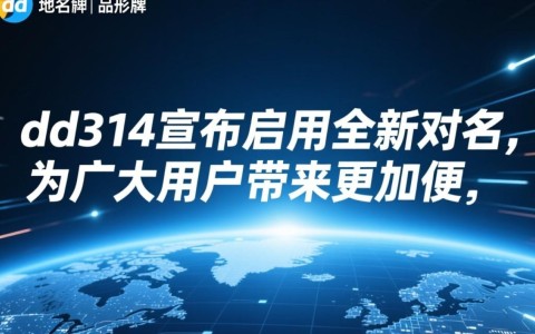 dd314新域名揭晓，dd314的新域名究竟有何特别之处？