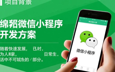 绵阳微信小程序开发方案，如何打造高效便捷的本地应用？