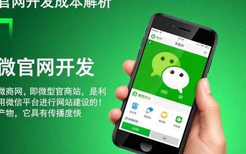 微官网开发成本多少？不同方案、功能与价格因素揭秘！
