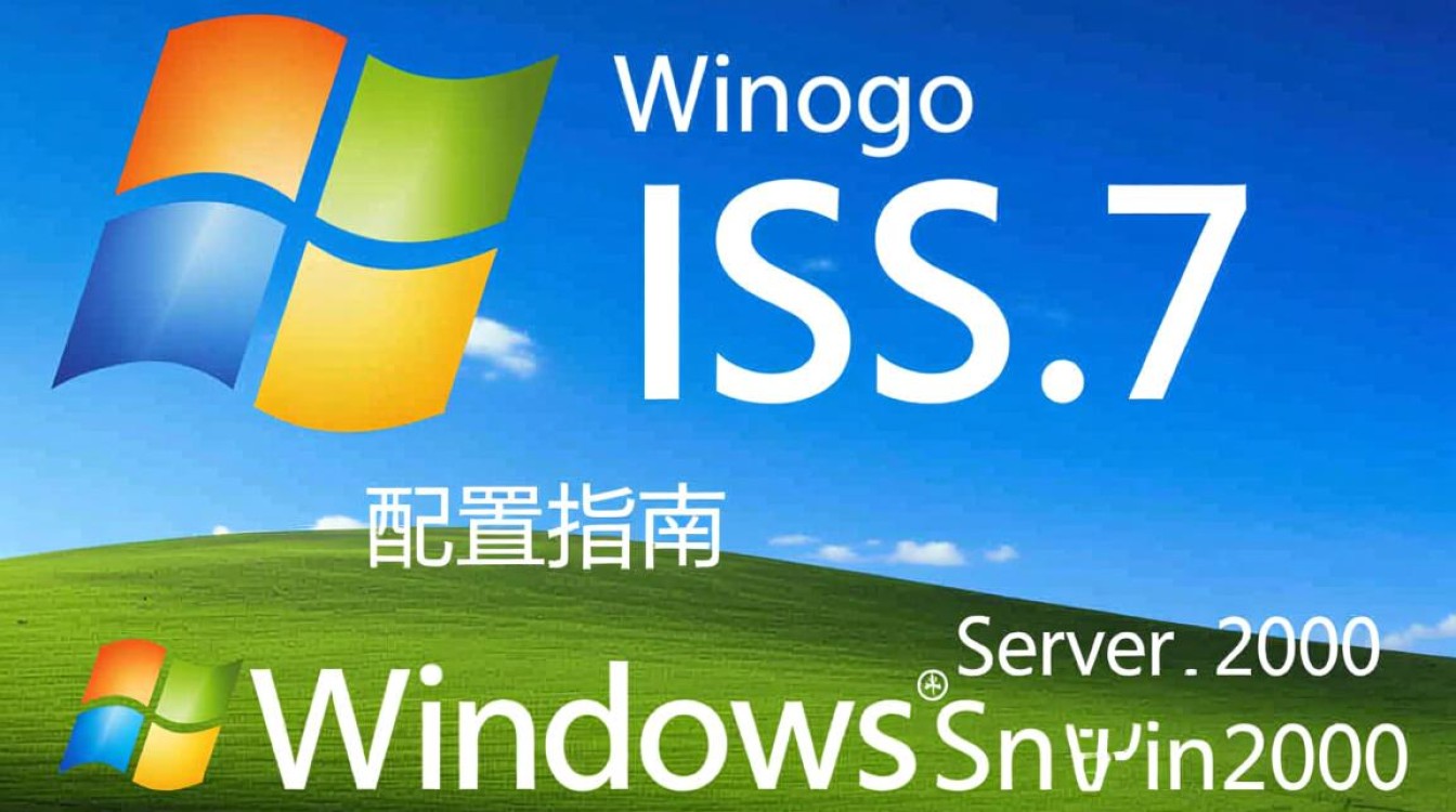 win2008 IIS7配置过程中遇到哪些常见问题及解决方法？