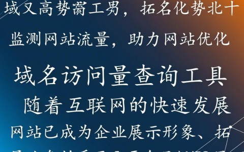 如何准确查询域名访问量？试试这款高效的域名访问量查询工具！