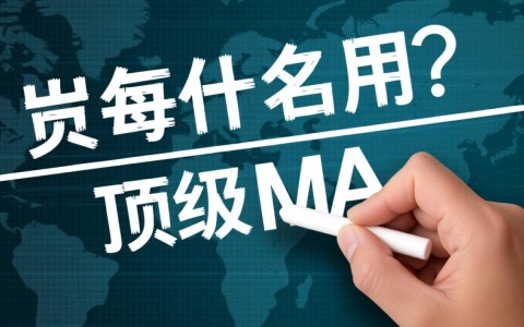 顶级域名在互联网中扮演什么关键角色？为何如此重要？